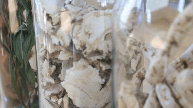 유리병에 담긴 한약재