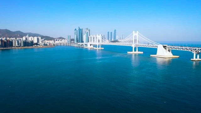 도시 옆 바다 위에 건설된 다리의 항공 촬영