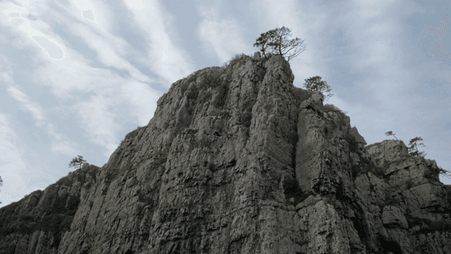 Rocky mountaintop with sparse trees