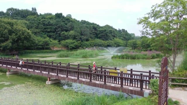 나무와 호수가 있는 녹음 가득한 공원