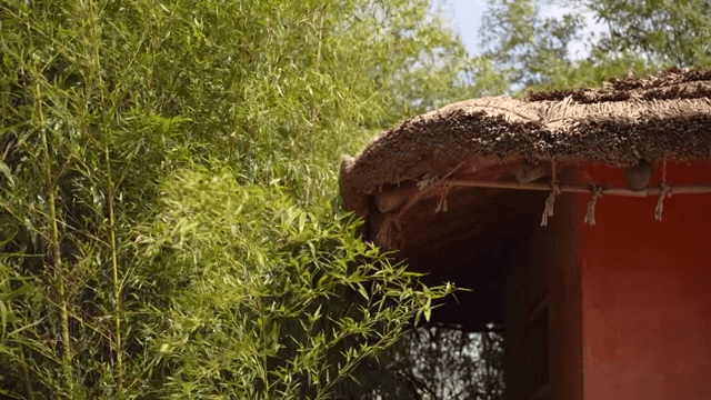 푸른 숲으로 둘러싸인 소박한 오두막