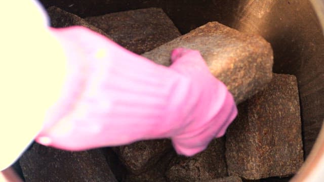 Gloved hand placing fermented soybean bricks inside a barrel