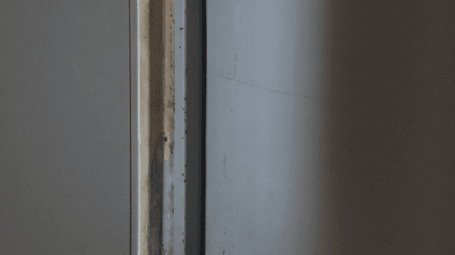 Close-up of a home wall with moss