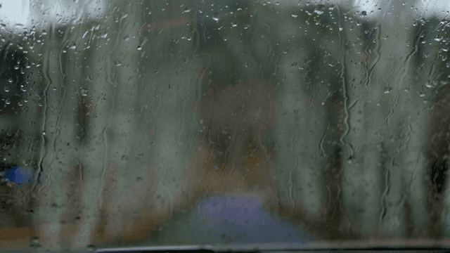 Raindrops on a window with blurred trees