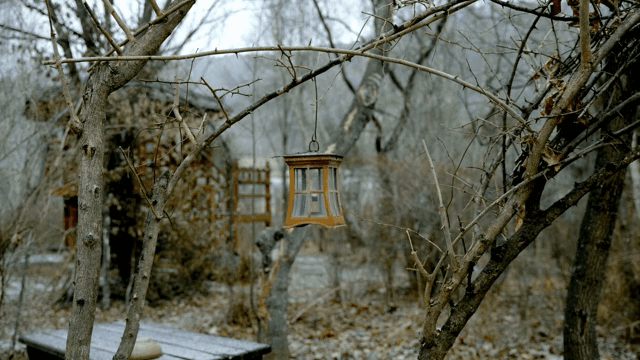 눈 내리는 겨울 숲에 걸린 소박한 랜턴