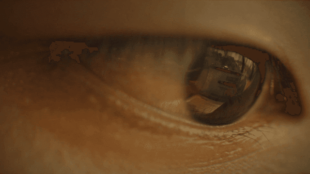 Close-up of eye reflecting laptop screen