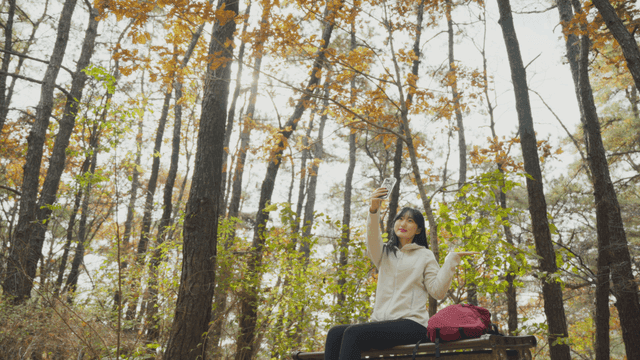 Woman taking selfie in sunlit autumn forest