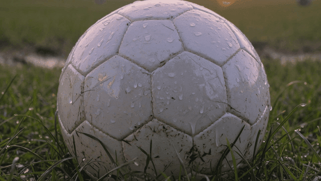 Wet soccer ball on grass