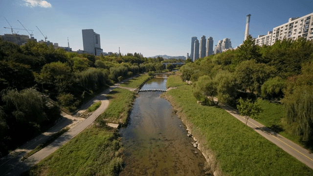Serene stream flowing through a cityscape