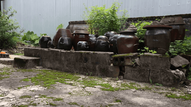 Traditional Korean jars in a garden