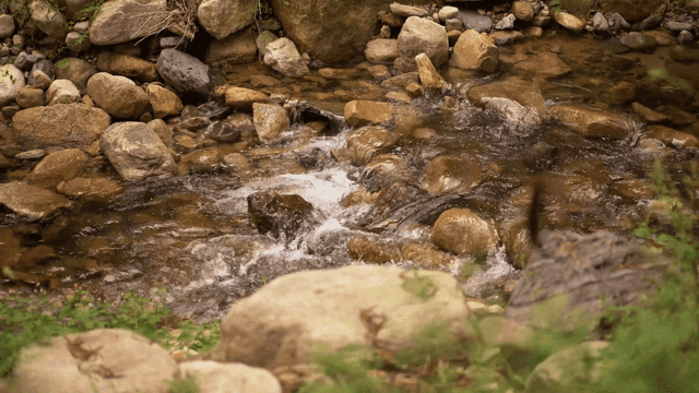 바위 위로 흐르는 작고 맑은 시냇물