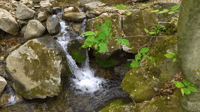 Small waterfall flowing over rocks
