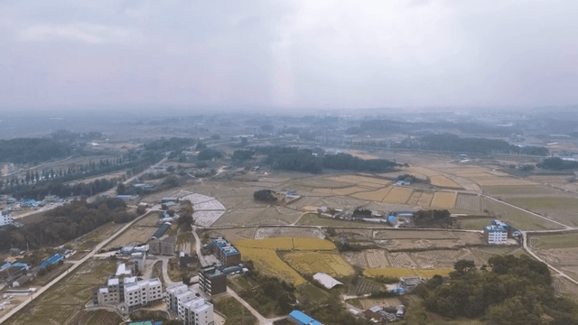 관람차와 들판이 있는 마을 풍경