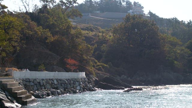 Peaceful coastal scene with trees and rocks