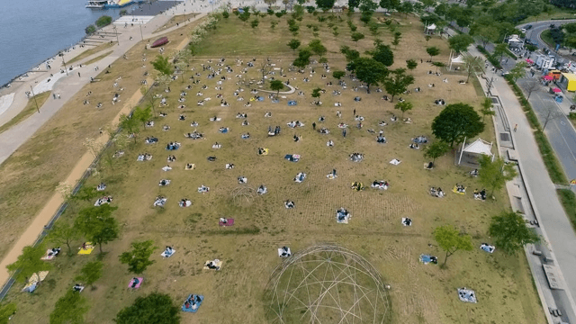 피크닉을 위해 공원을 찾은 사람들