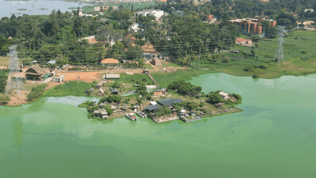 Aerial view of a green lake and nearby village