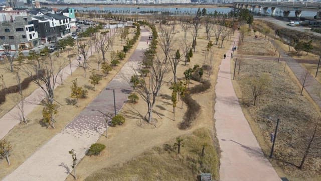 Park with pathways and trees near a river