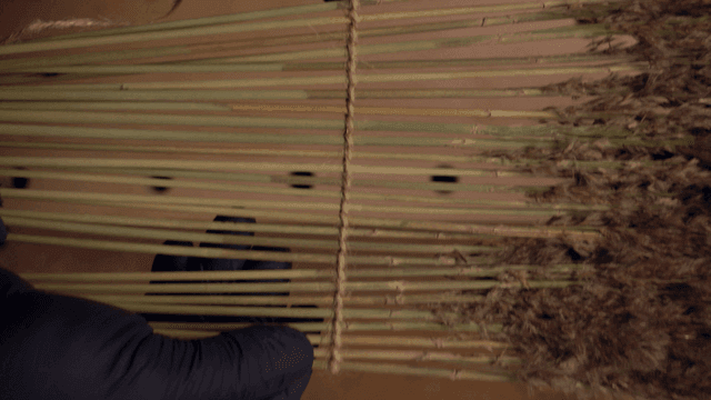 테이블 위에 마른 갈대를 정리하는 손