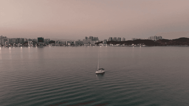도시 스카이라인을 배경으로 한 요트
