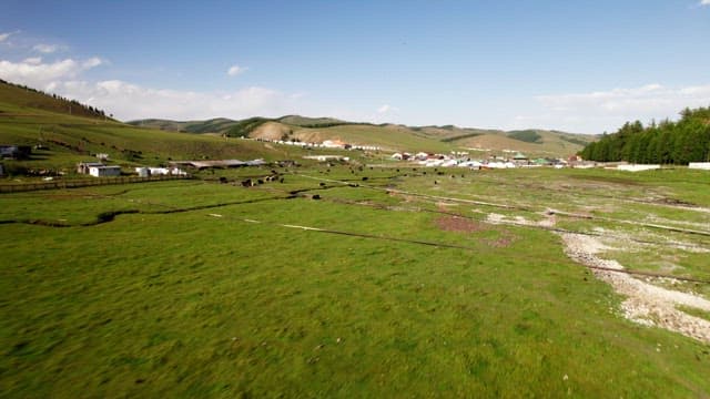 Wide Grassland with Occasional Livestock Grazing