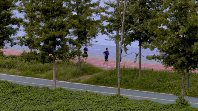 나무가 늘어선 길에서 조깅하는 사람들