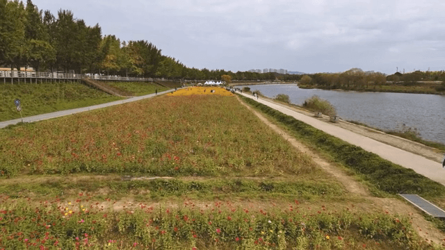 꽃밭이 있는 강변의 풍경