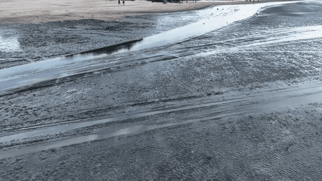 조수 패턴이 있는 모래사장의 항공 뷰