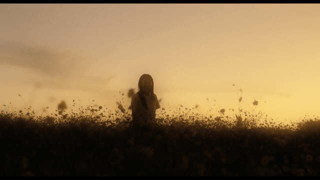 해질녘 꽃밭에 서 있는 소녀