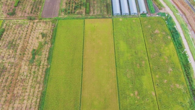 온실과 강이 있는 넓은 농지