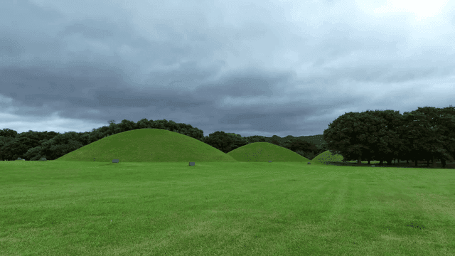 Green Daereungwon under cloudy sky