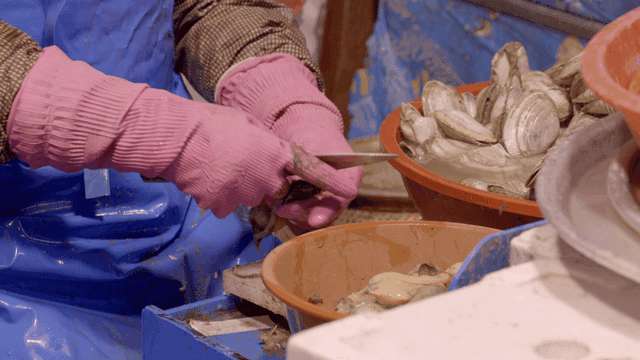 Person who shucks clams with knife