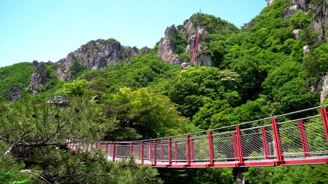 Red suspension bridge on a mountain covered with green trees