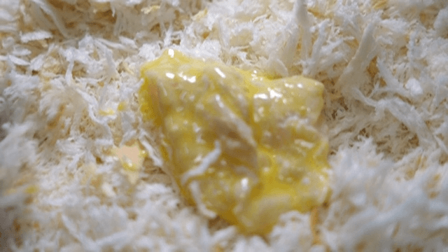 Breadcrumbs covering fried food