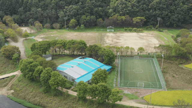 푸른 숲으로 둘러싸인 축구장