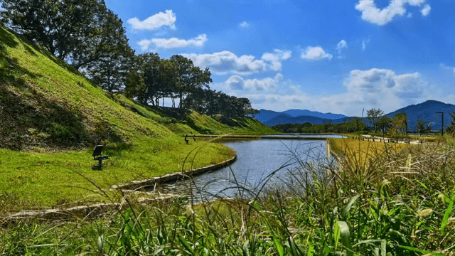 Green fields and ponds under the blue sky