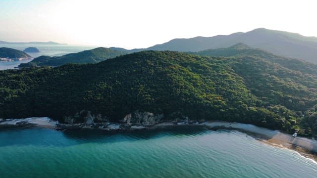 숲으로 둘러싸인 고요한 해변