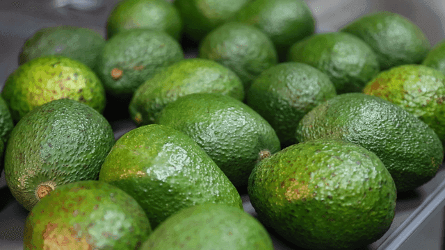 진열된 신선한 아보카도