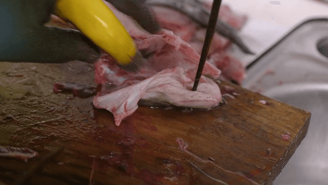 Fish being cleaned and prepared