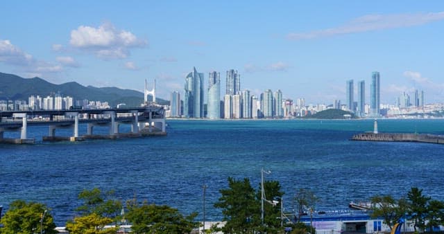 해안도시 부산의 낮부터 밤까지의 분주한 풍경