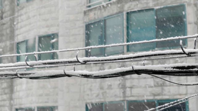 Snow falling on wires in front of a building