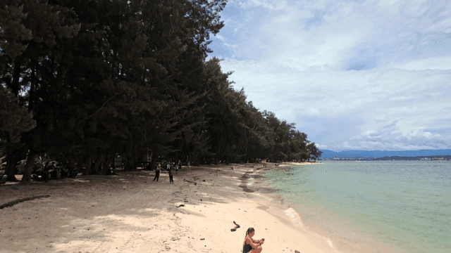 푸른 나무와 맑은 물이 있는 고요한 해변