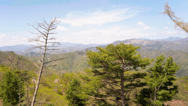 푸른 산의 풍경