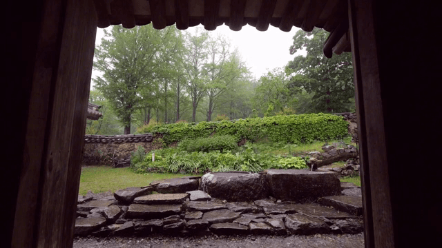 기와 아래에서 바라본 녹음이 우거진 풍경과 비