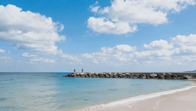 맑은 하늘 아래 바다 부두에서 낚시하는 사람들