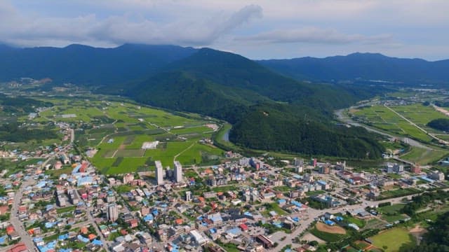 Rural village surrounded by green fields