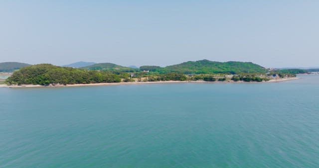 Tranquil beach with lush forest