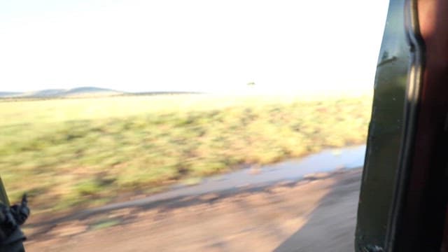 이동 중인 차량에서 본 풍경