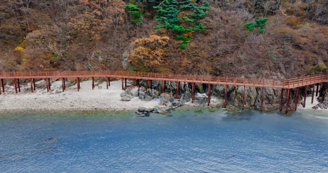 Walkway Between a Autumn Forest and a Blue Sea