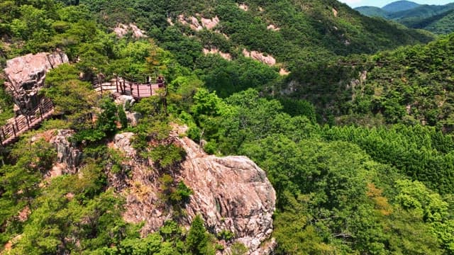 푸른 숲의 경치