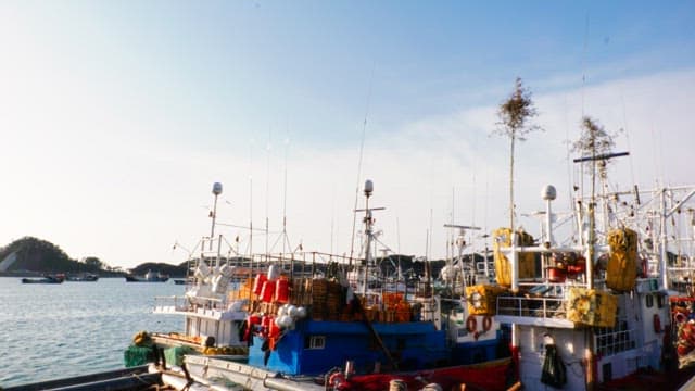 Multiple fishing boats moored at a harbor on a clear day